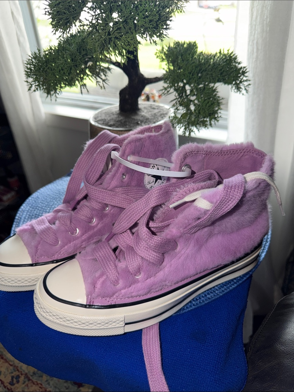 Converse Plush High-Top Sneakers in Lavender